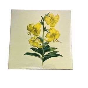 Vintage Botanical Print Wild Yellow Lilies wall hanging ceramic porcelain lily